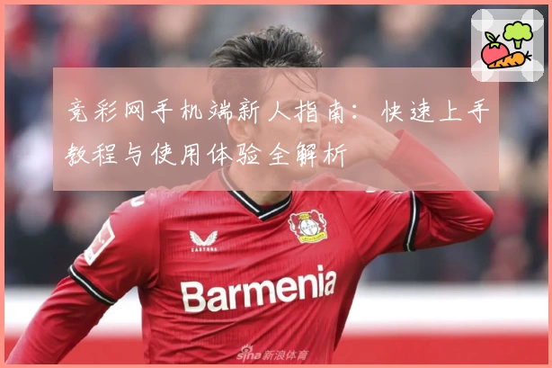 竞彩网手机端新人指南:快速上手教程与使用体验全解析